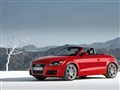 08 TTS Roadster 2.0 TFSI quattro