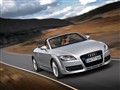 08 TTS Roadster 2.0 TFSI quattro