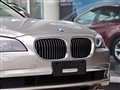 2009 730Li