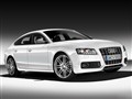 2010 3.0T S5 Sportback