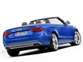 2010 3.0T S5 Cabriolet