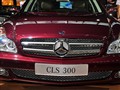 2009 CLS 300