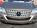 2010 ML 300 4MATIC