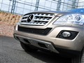 2010 ML 300 4MATIC